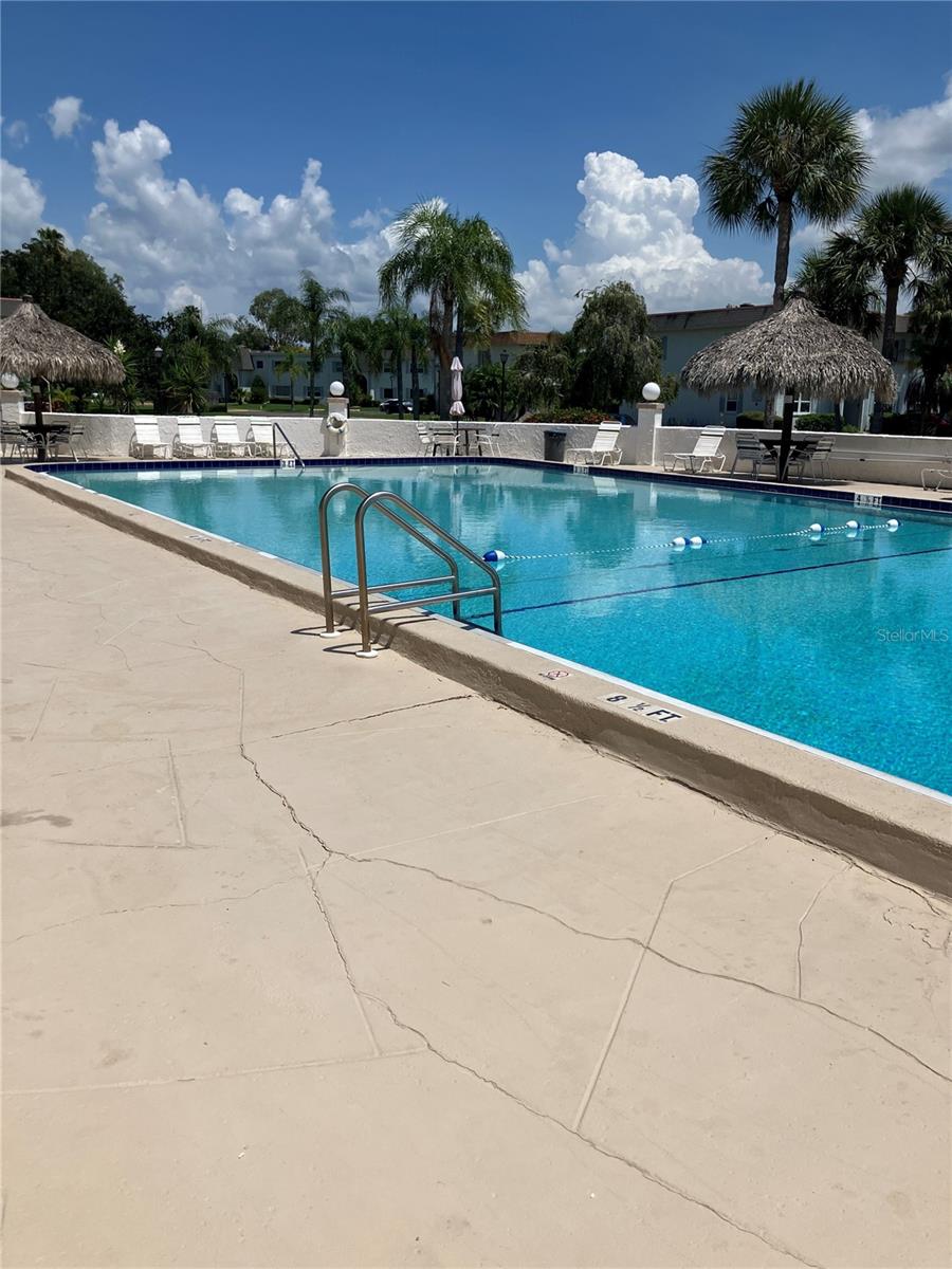 OLYMPIC SIZE POOL