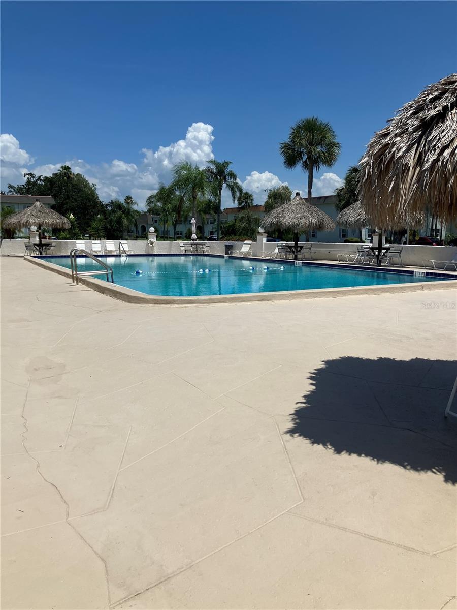 POOL VIEW