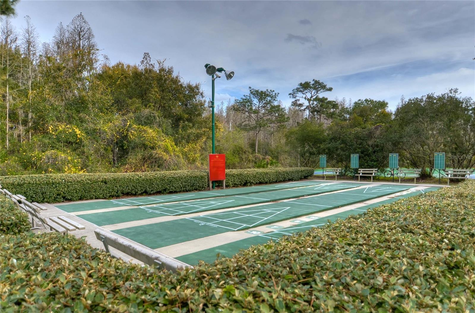 Shuffleboard