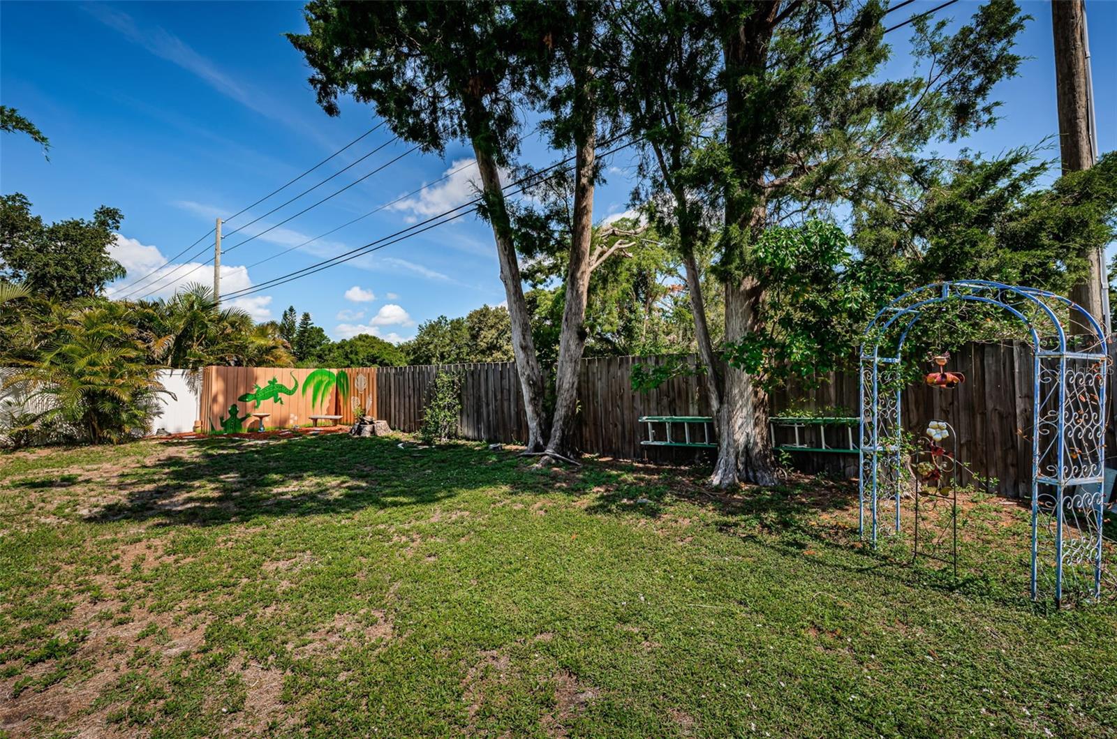 Back yard
