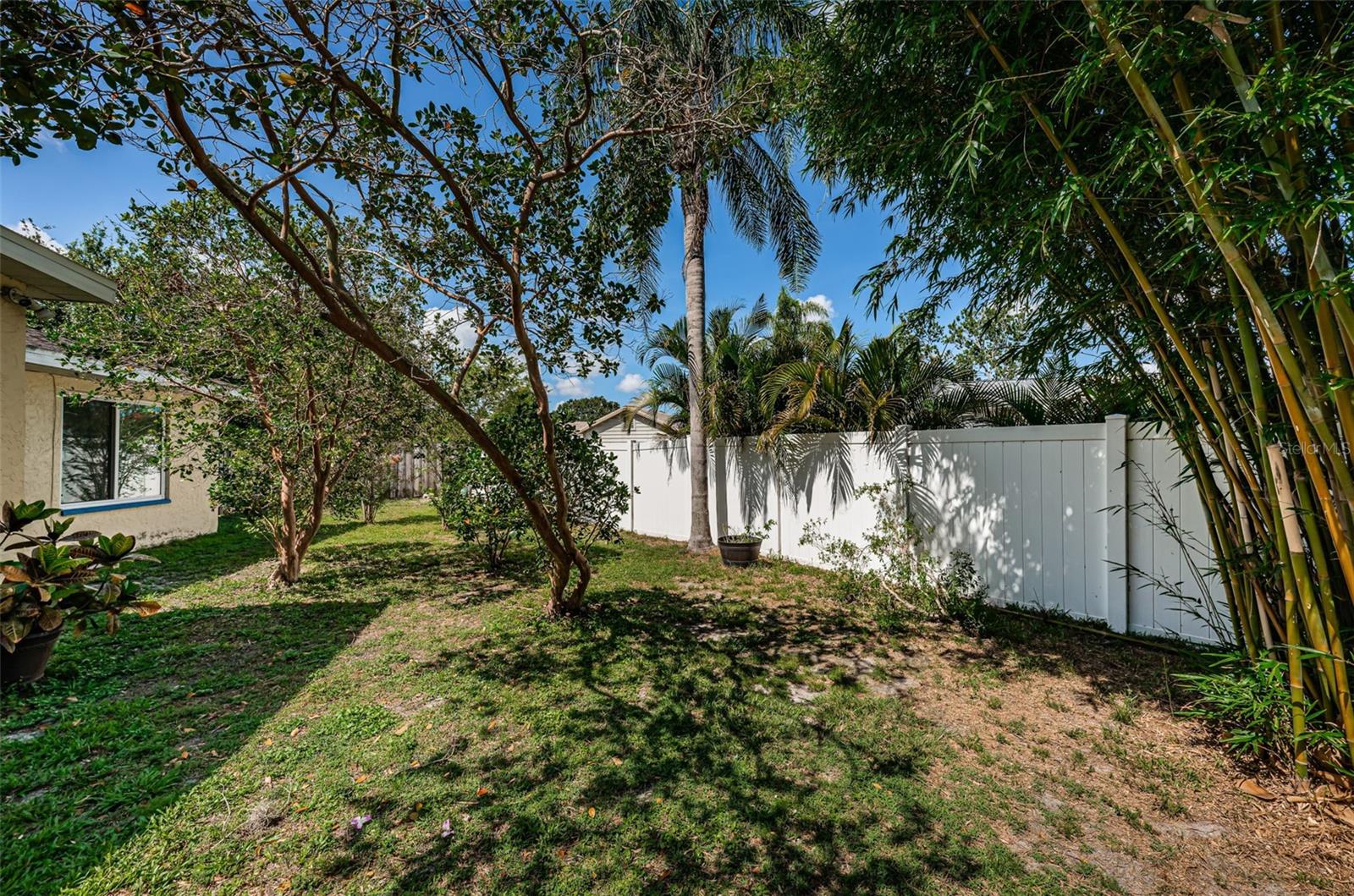 Side yard