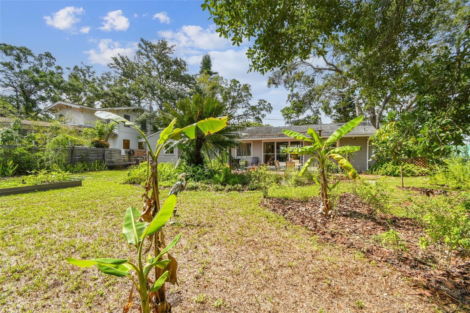 Lots of room to garden, grow vegetables, run the pets, play tag with the kids! Install a pool?