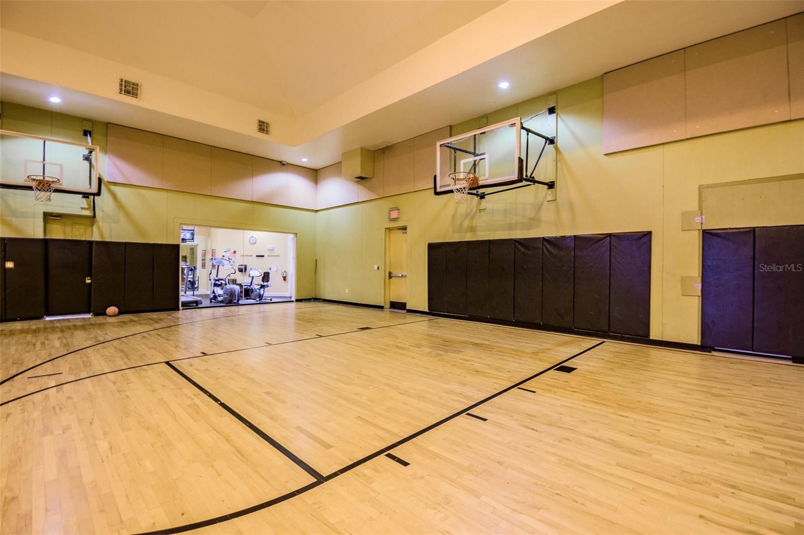 Basketball court!