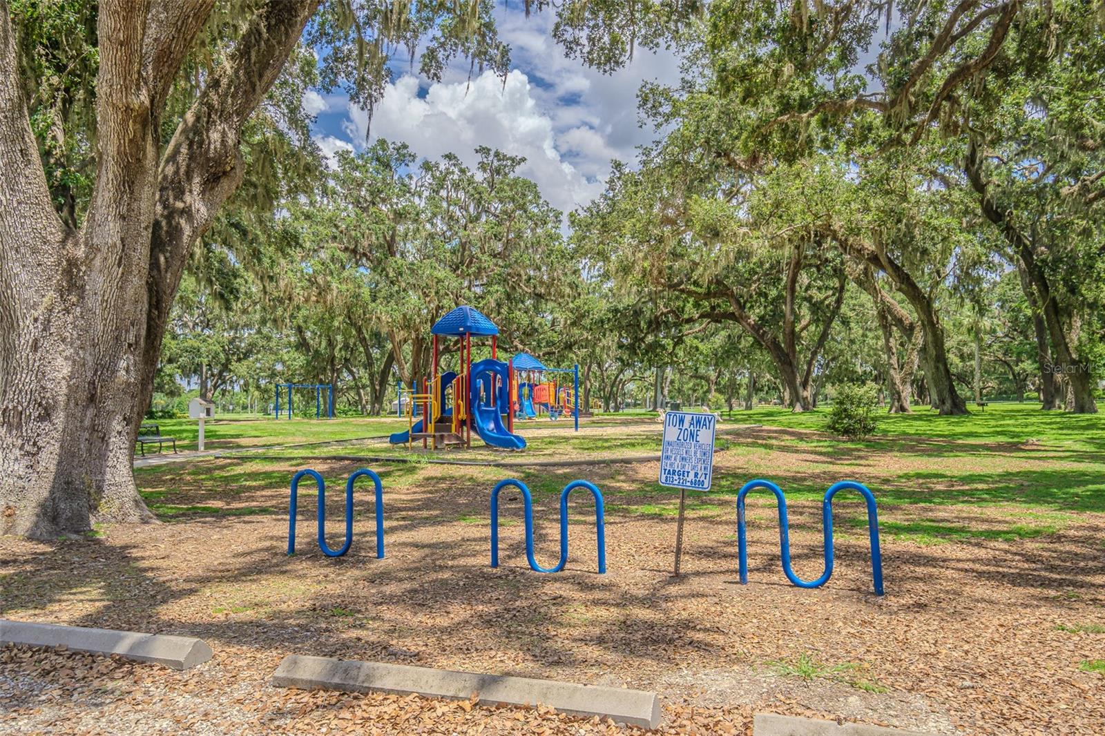 Zeina Park with beautiful grandfather oaks and plenty of shade for play