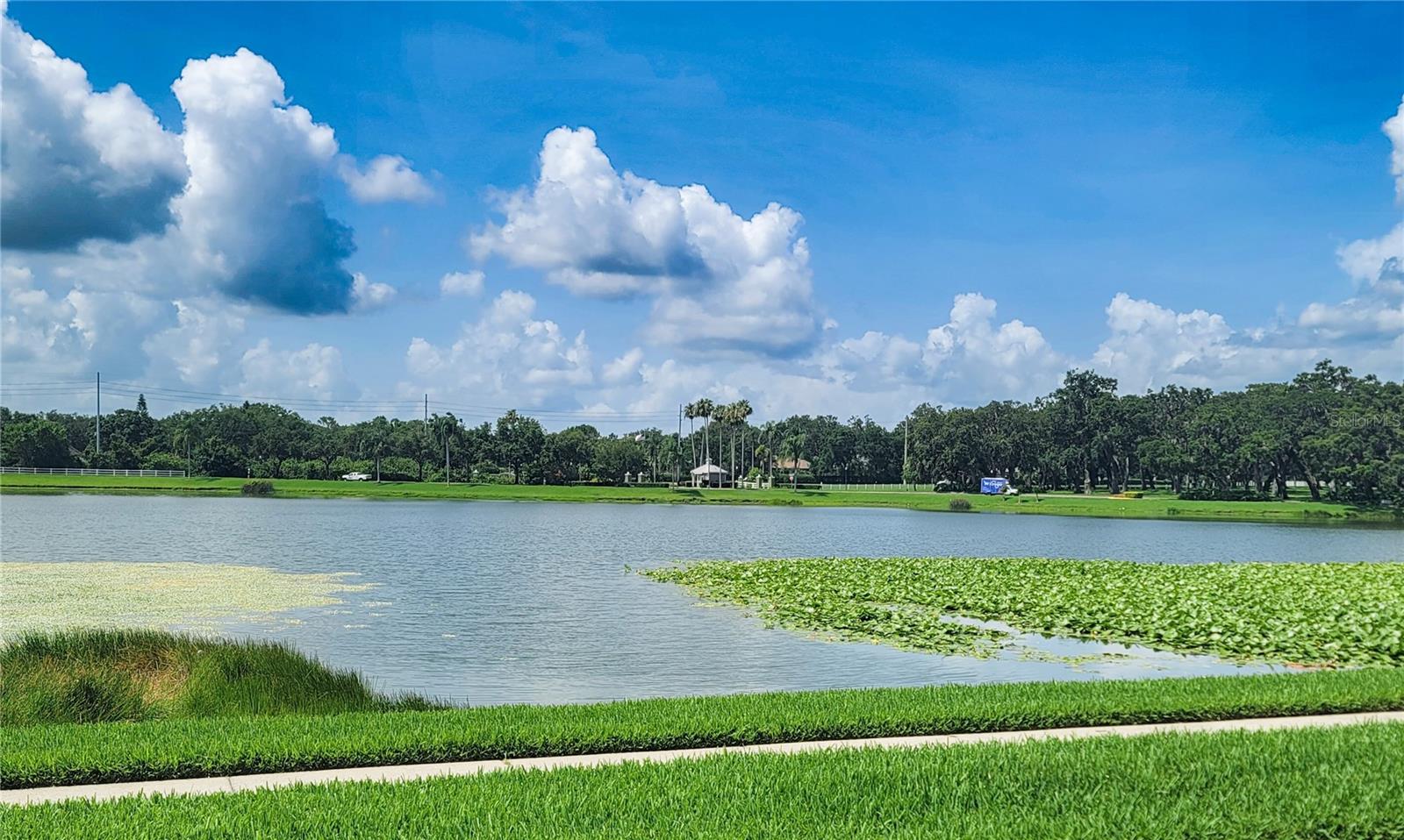 or just to enjoy Florida nature...