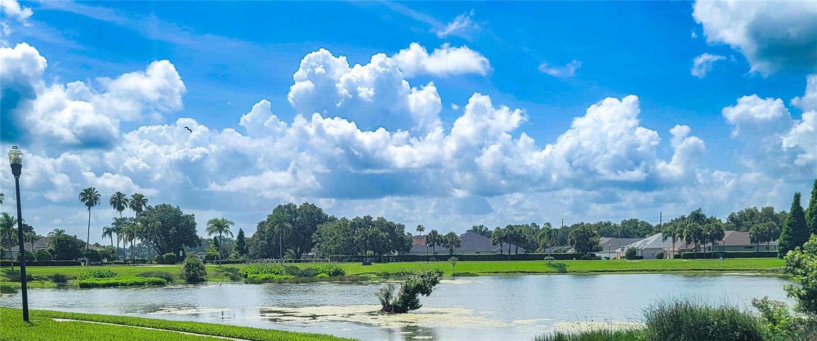 You'll love the ambiance it brings to the community!