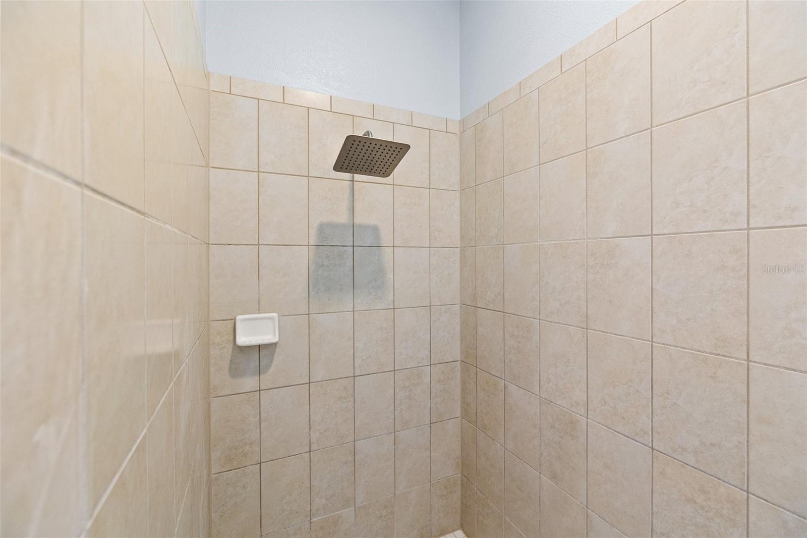 Rainbird shower head