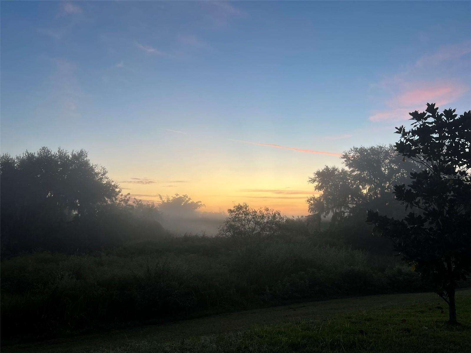 Amazing sunrise views