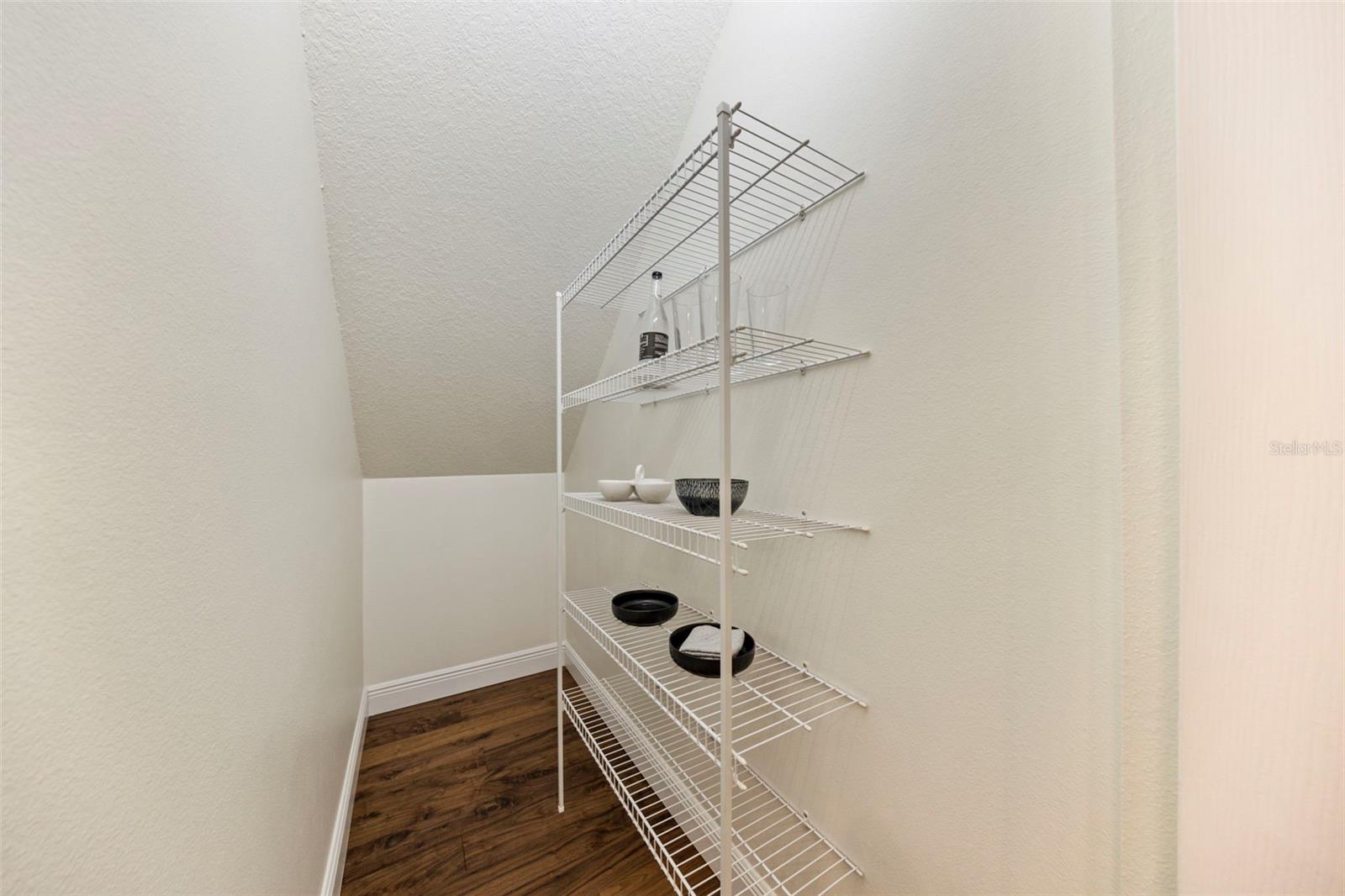 Storage pantry in kitchen.