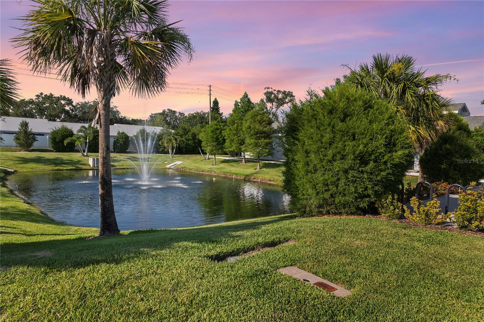 Community pond with lighted fountain
