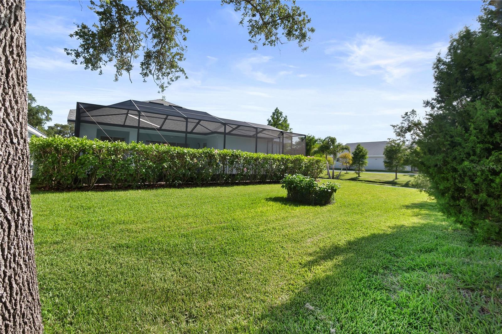 Private backyard