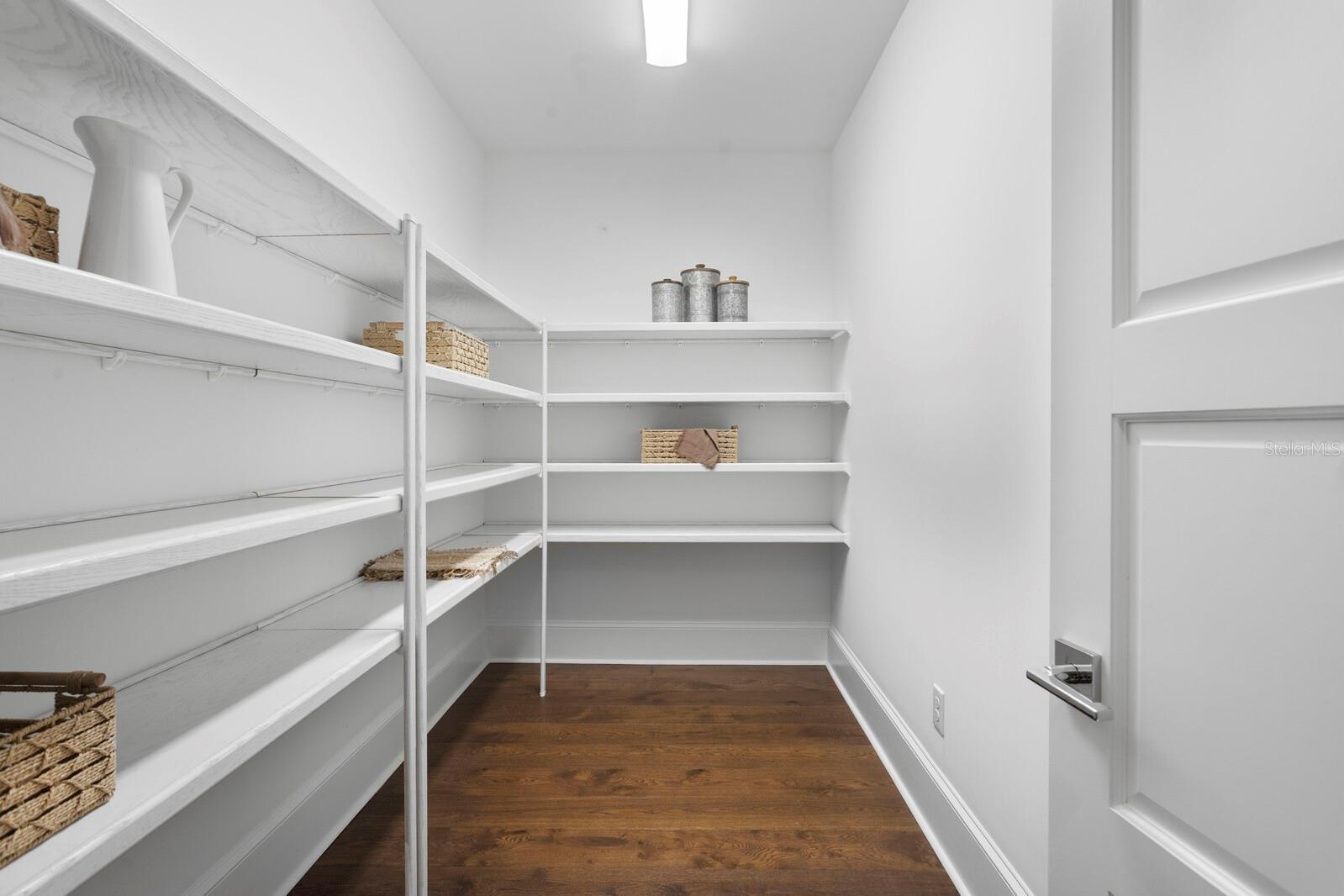 Oversized, Automatic Light Walk-In Pantry