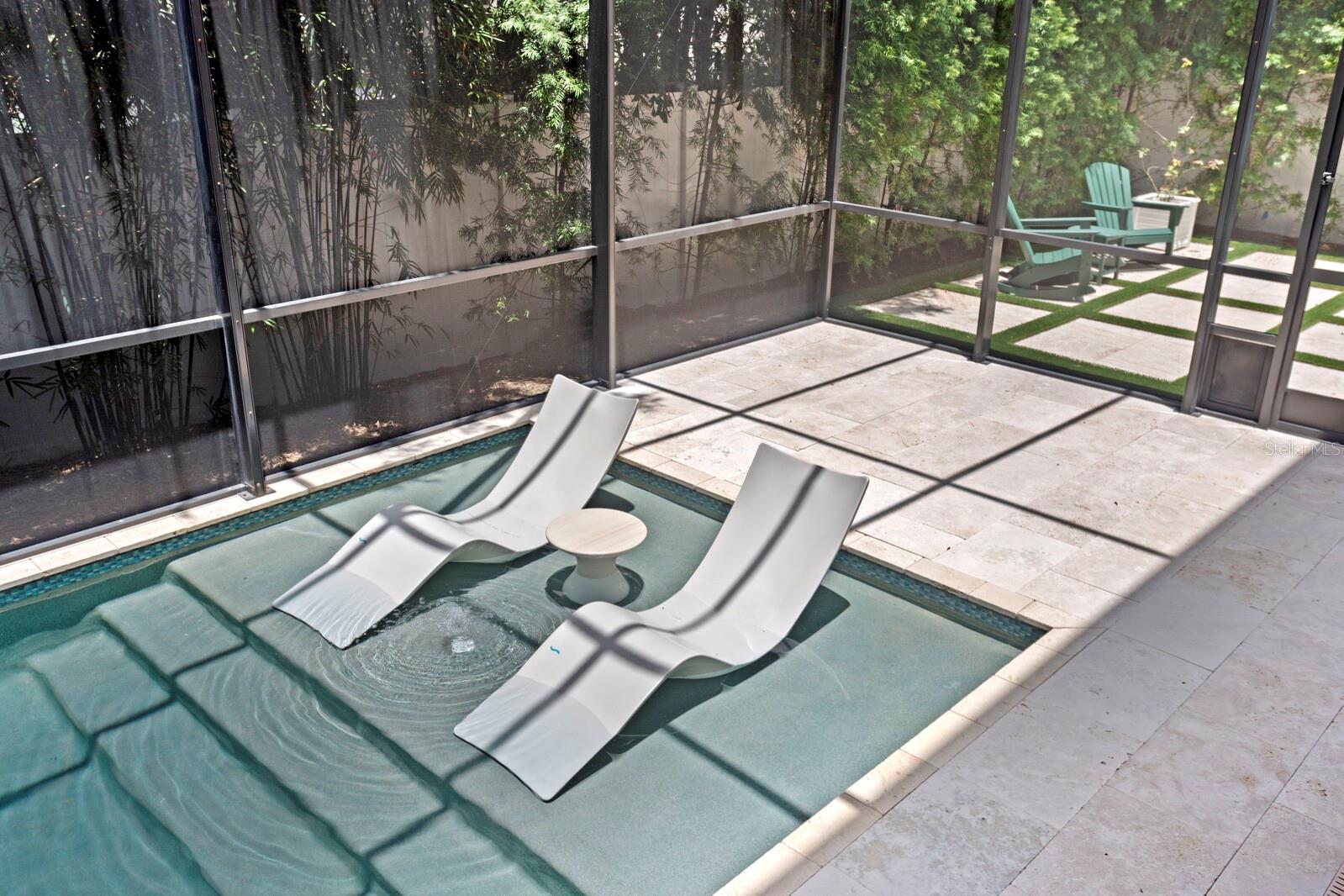 Pool with Loungers that Convey