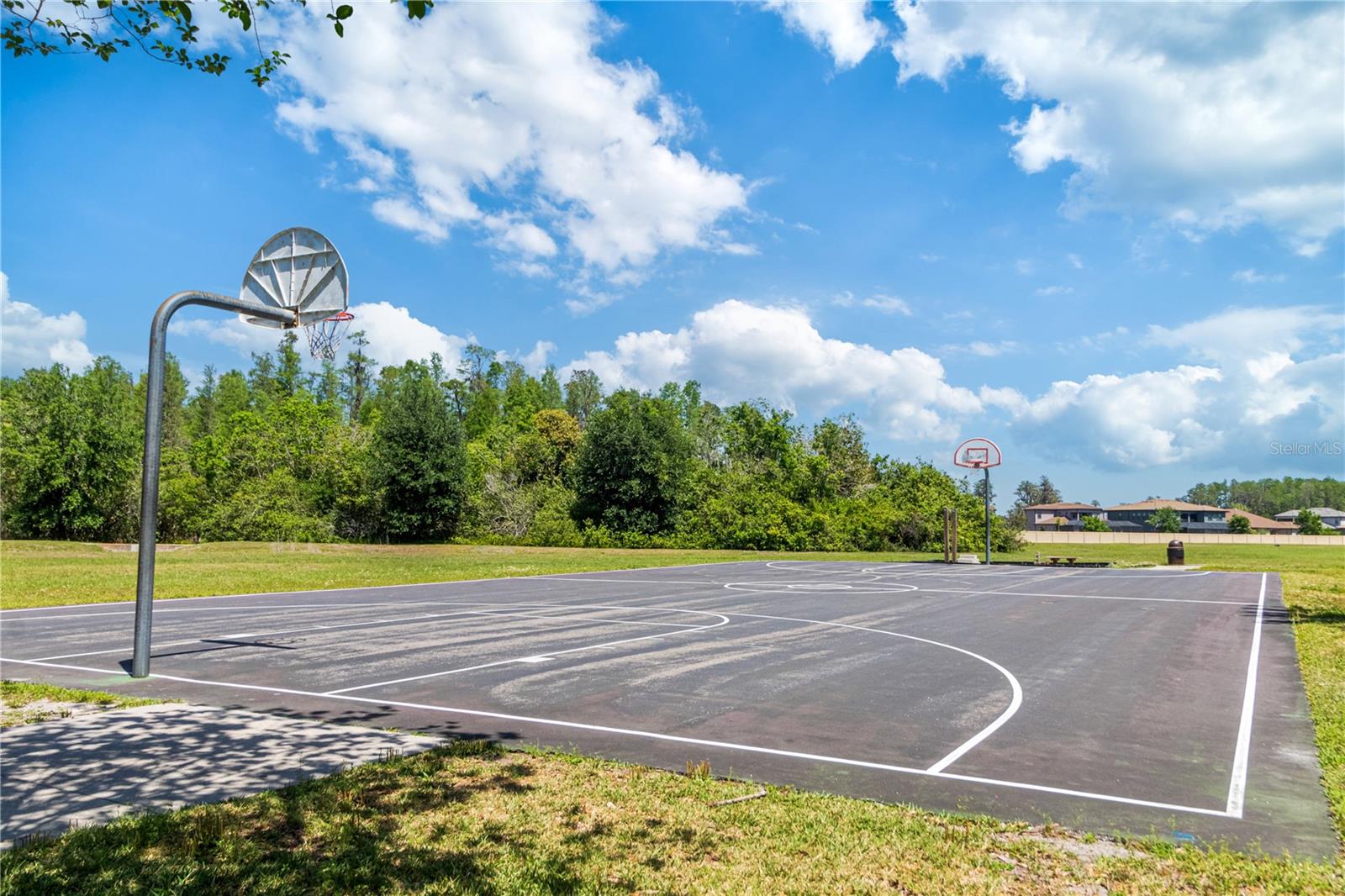 Basketball Court