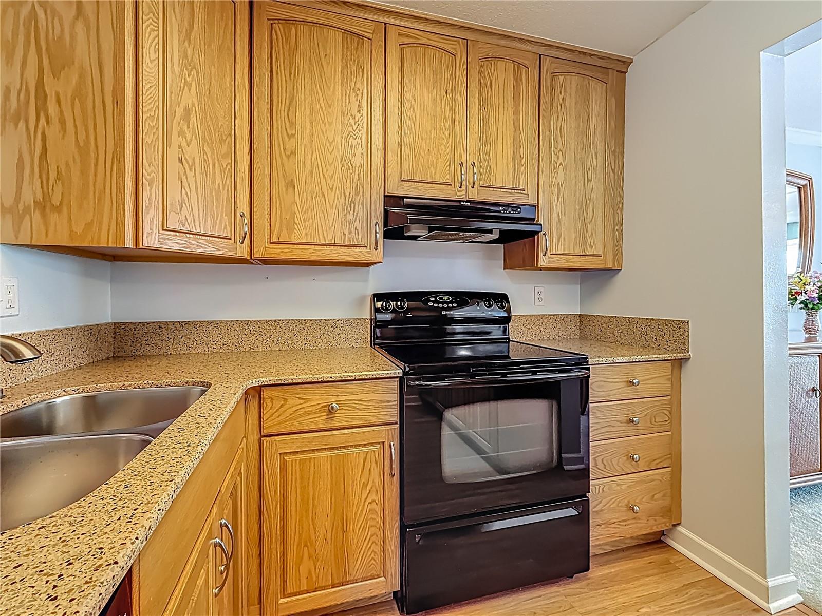As you can see you have double sinks, granite counter tops and updated cabinets in the kitchen.