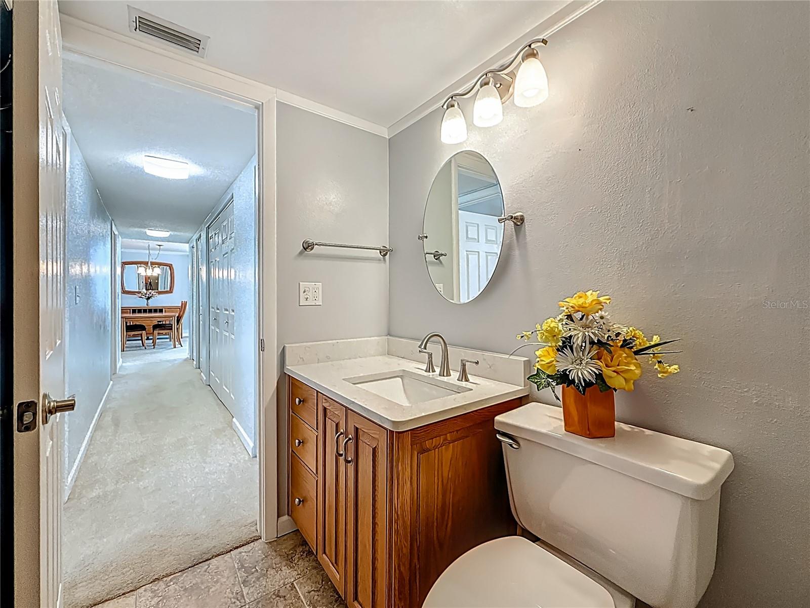 2nd look at hallway guest bathroom and the nice vanity with lots of storage.