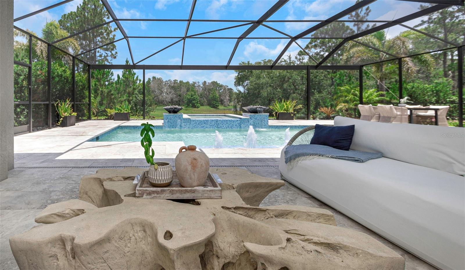 What a view! Panoramic Screen Enclosure
