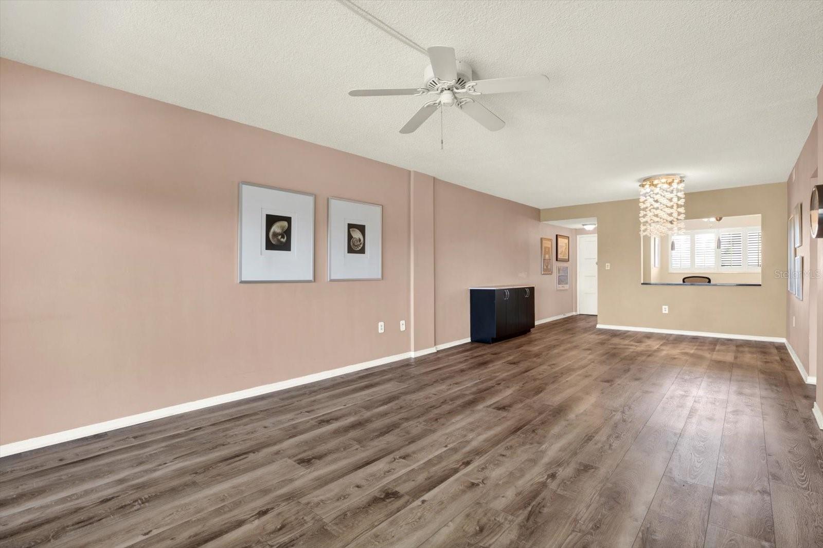 Dining/Living Room