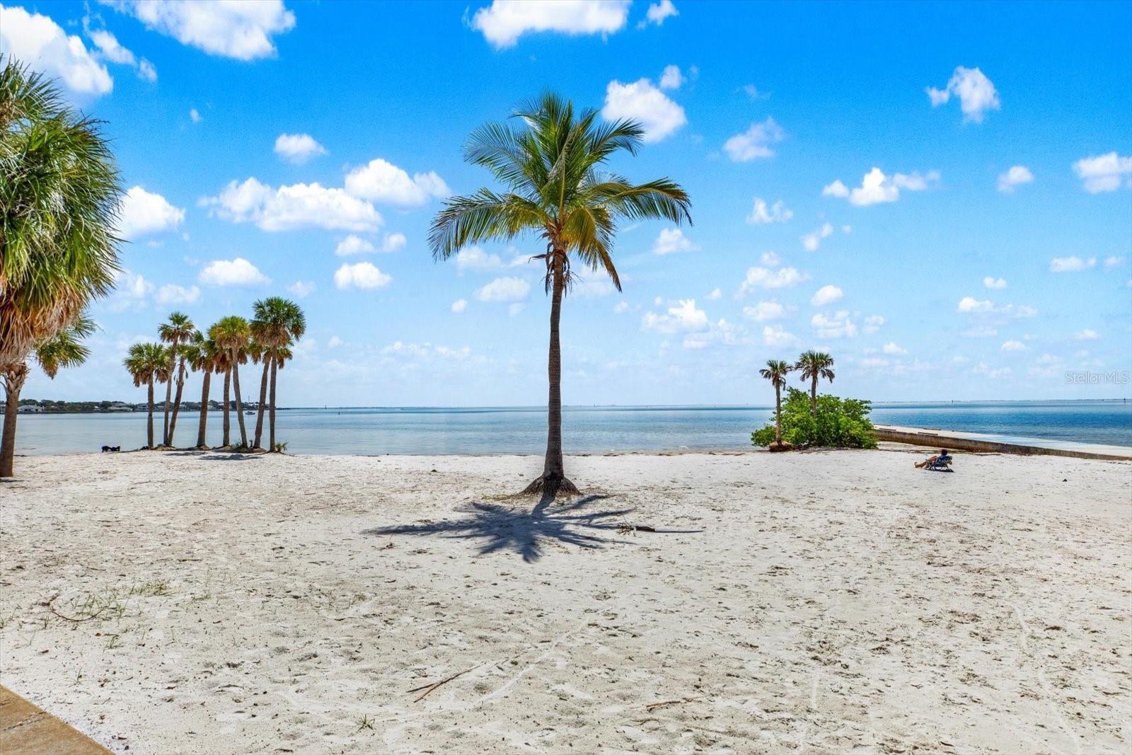 North Shore Park Beach- Across the Street