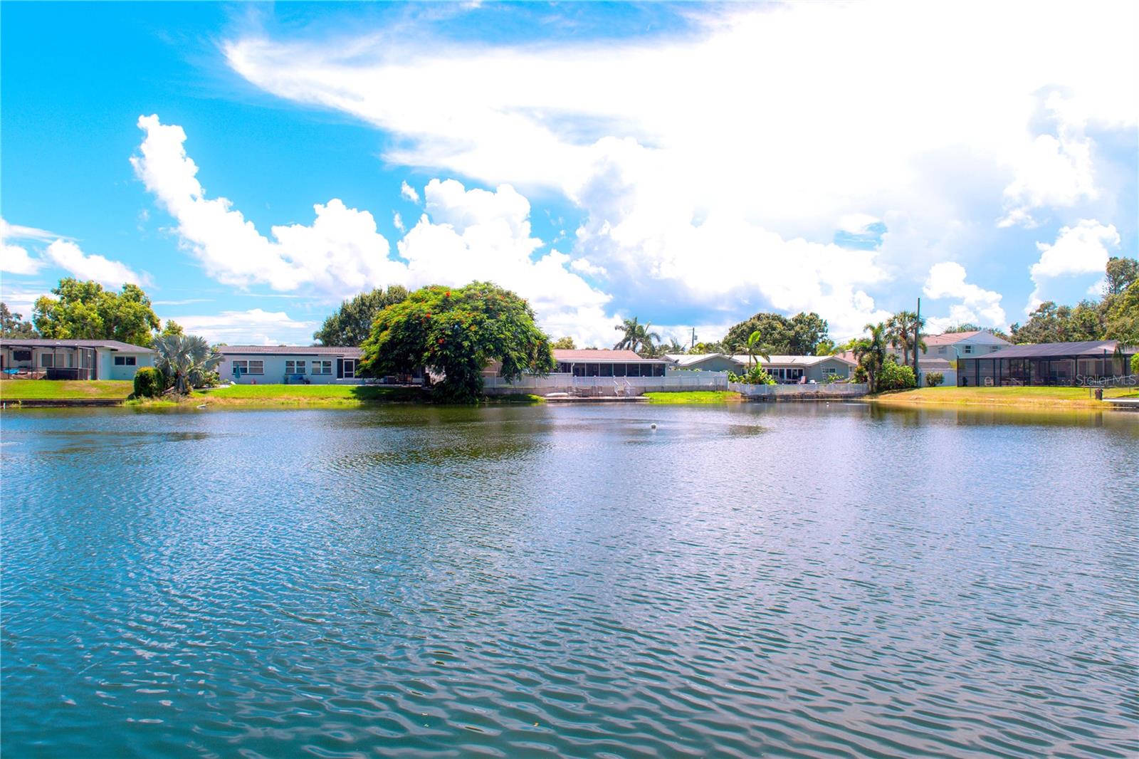 Water View