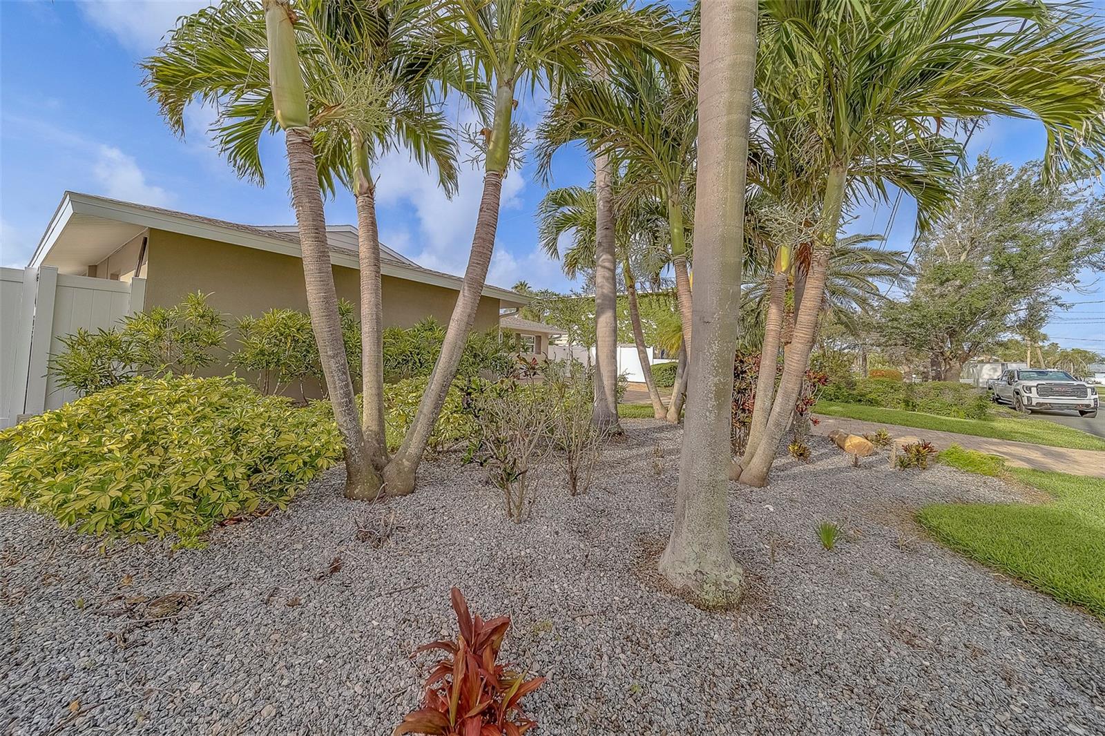 Beautiful Palms