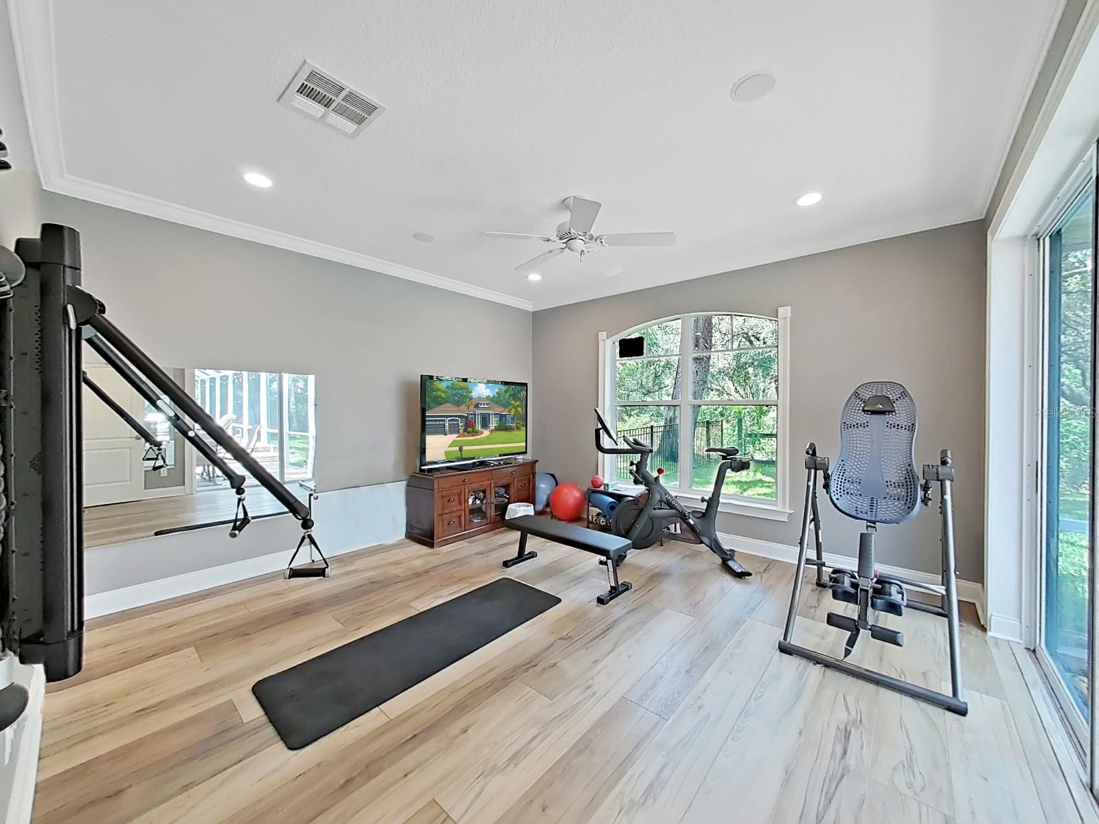 Bedroom 5/Gym/Bonus No Closet