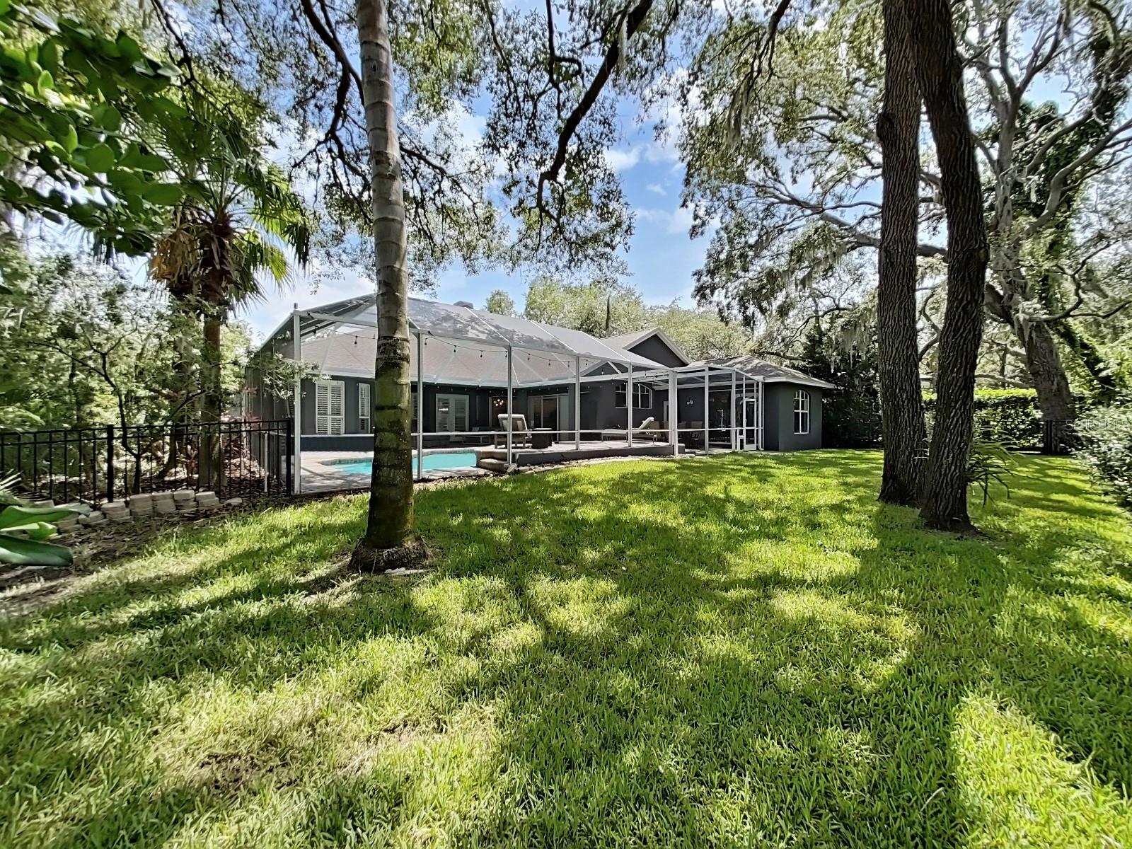Fenced Backyard