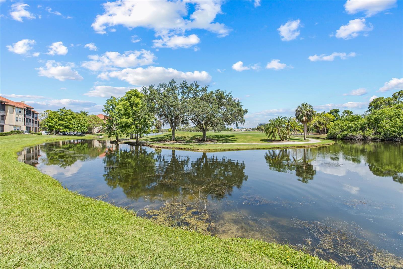 Tranquil Water Views Framed by Nature. Scenic reflections and mature trees surround this picturesque golf course pond, enhancing the serene atmosphere.