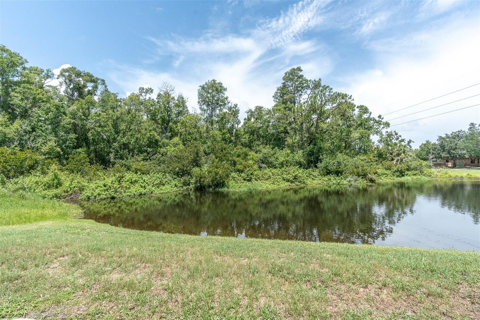 Pond View