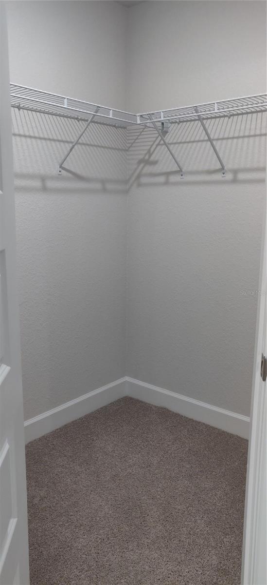 Walk in Closet