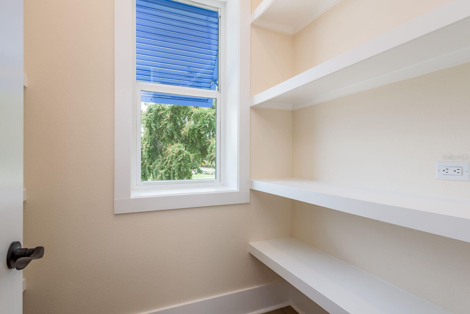 Kitchen pantry