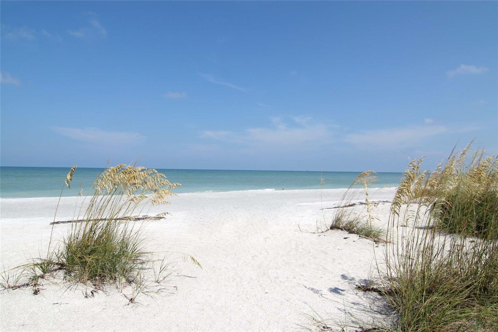 Beautiful Beach in front of The Lido