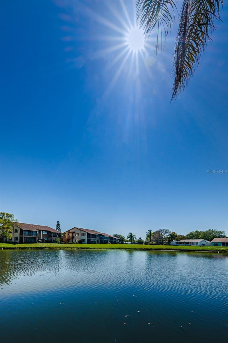 Beacon Lakes Common Area Views