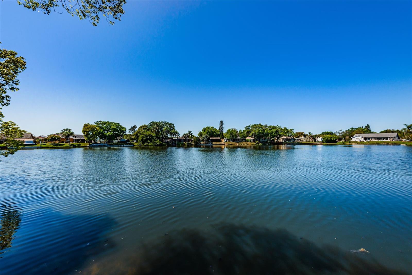 Beacon Lakes Common Area Views