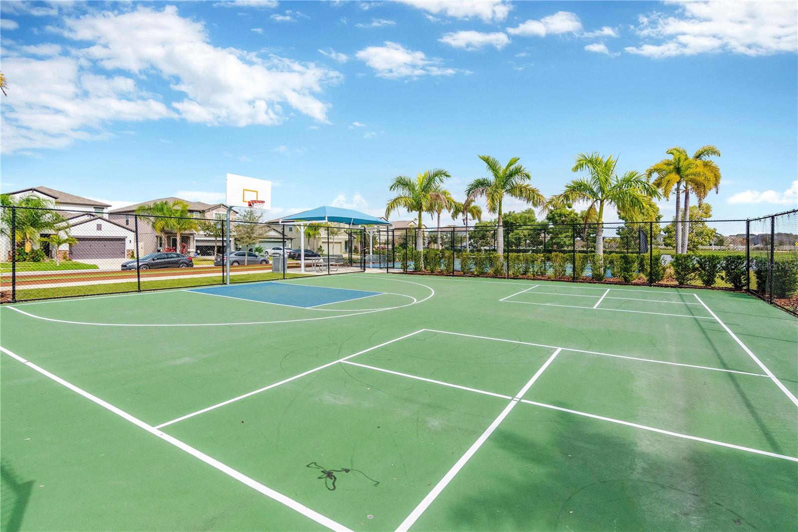 Basketball