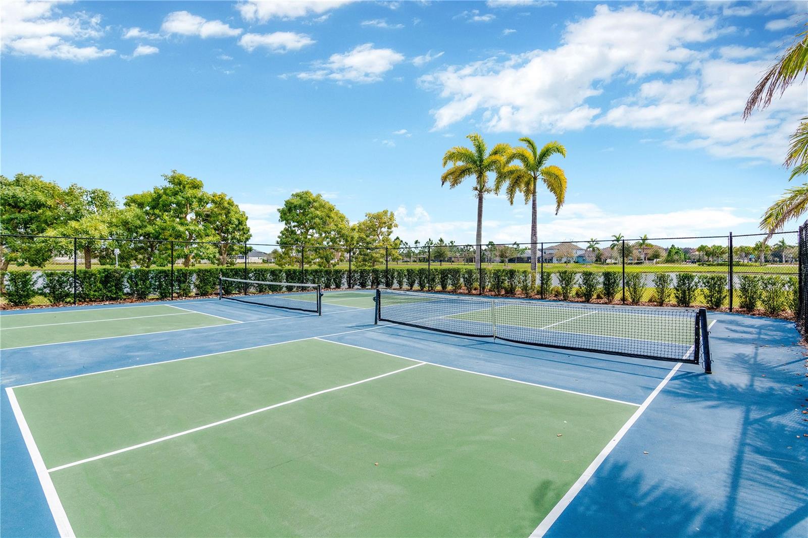 Pickleball