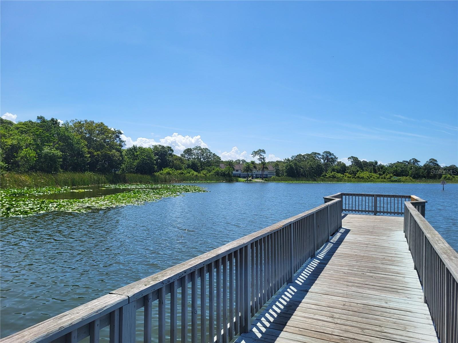 Lake St. George Amenities