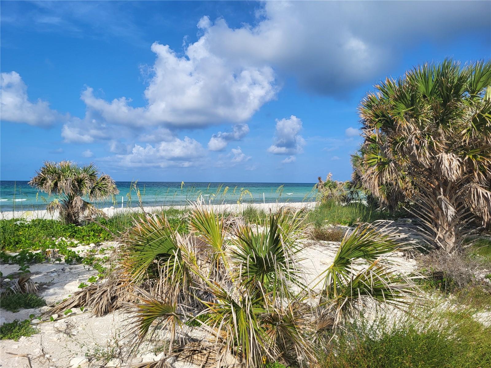 Honeymoon Island State Park