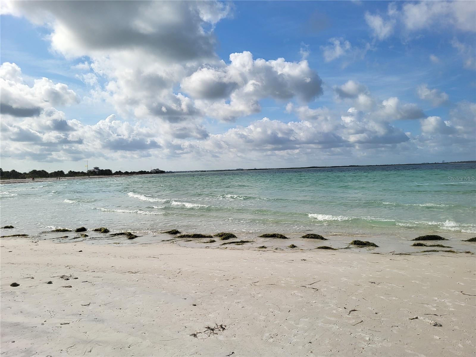 Honeymoon Island State Park