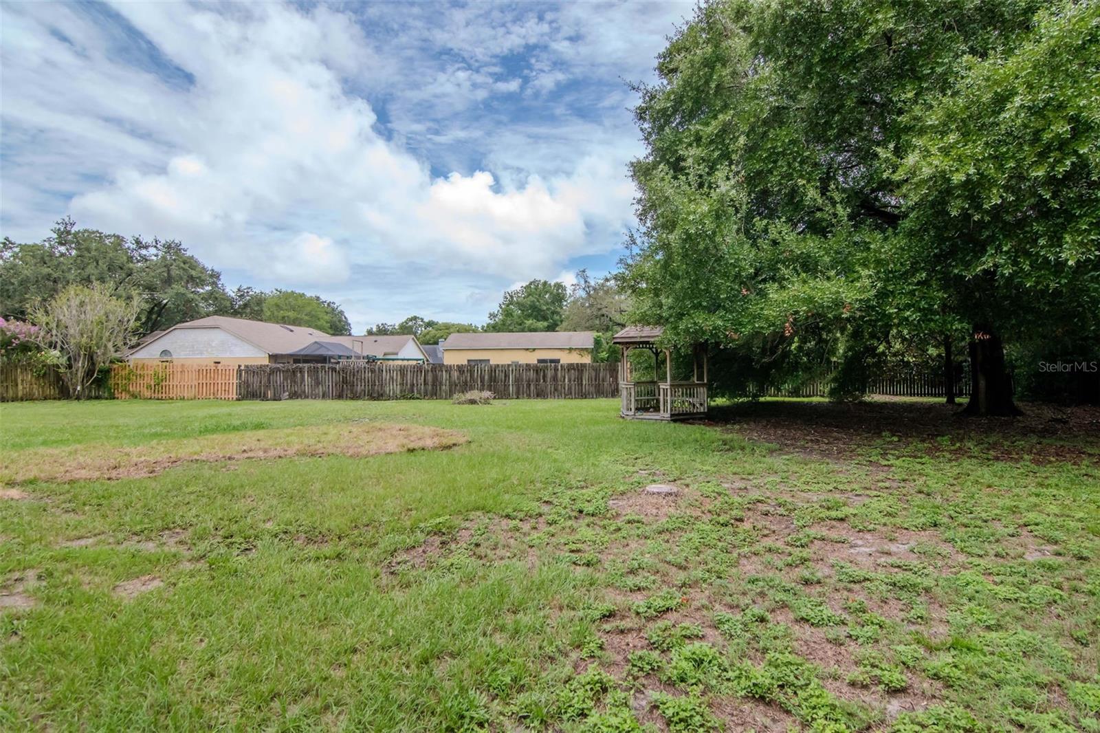Large Backyard