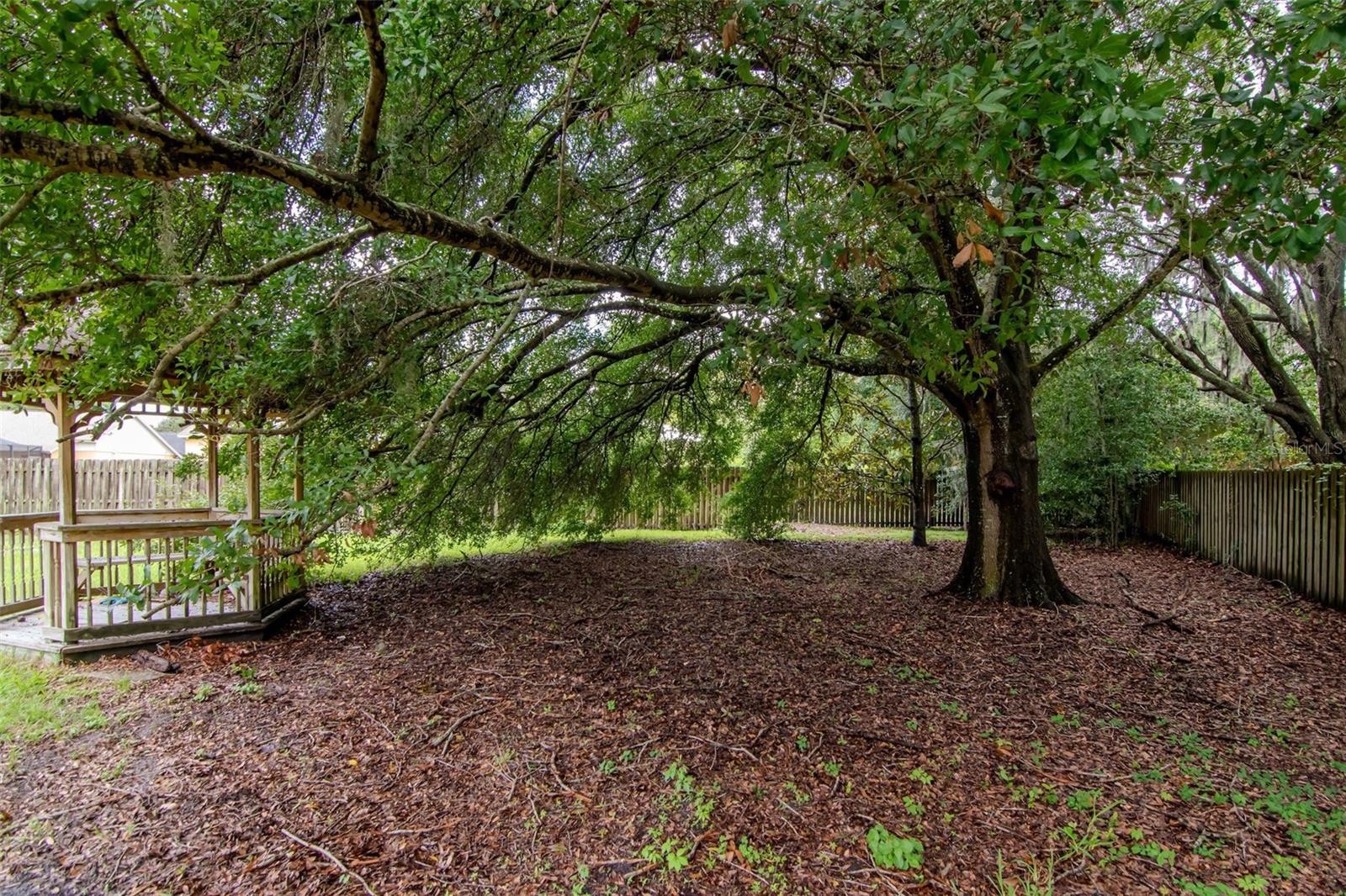 Large Backyard with Mature Landscaping and Gazebo