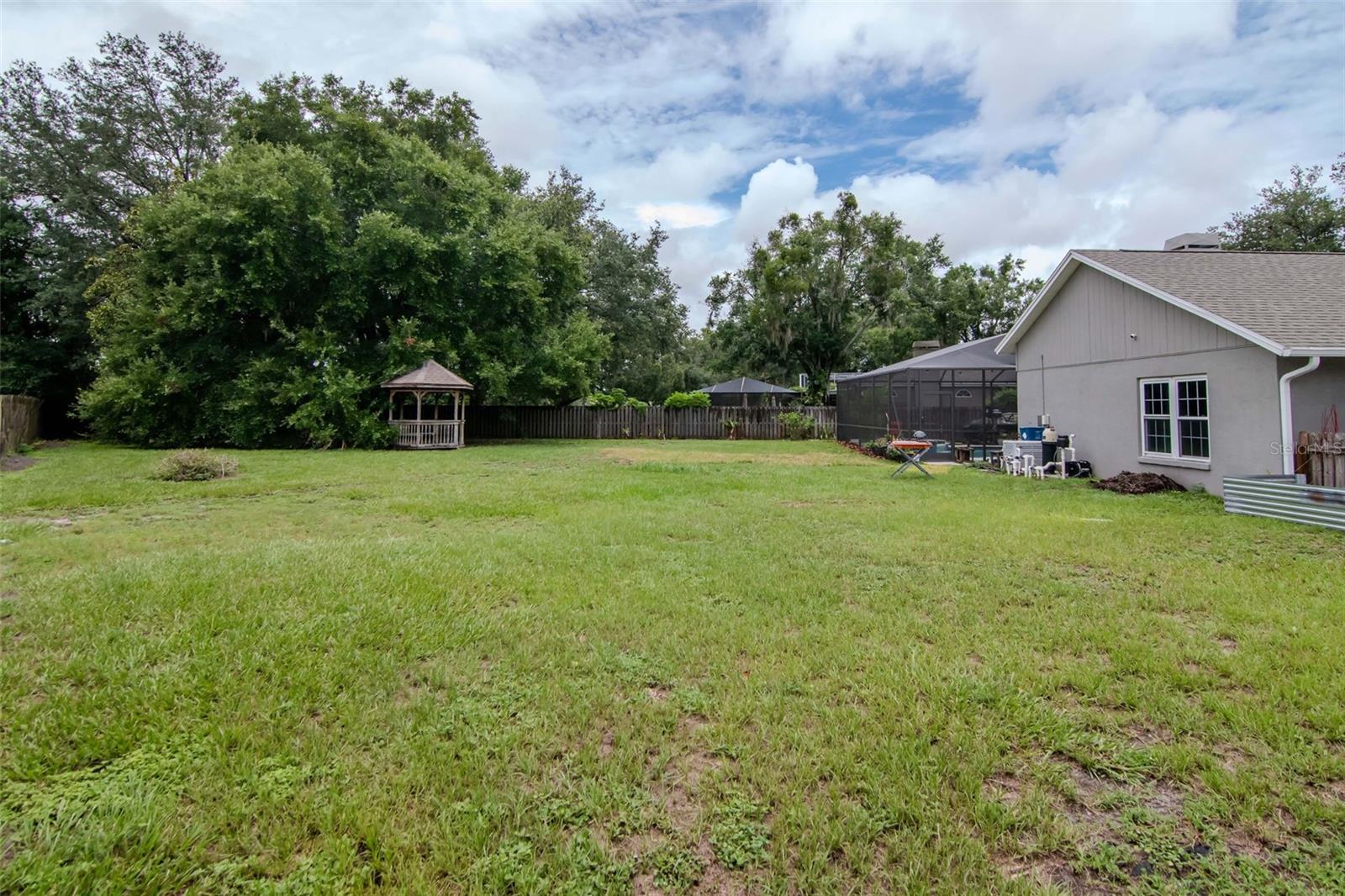 Large Backyard