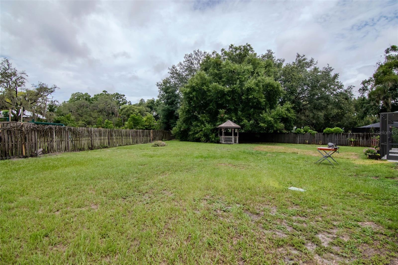 Large Backyard