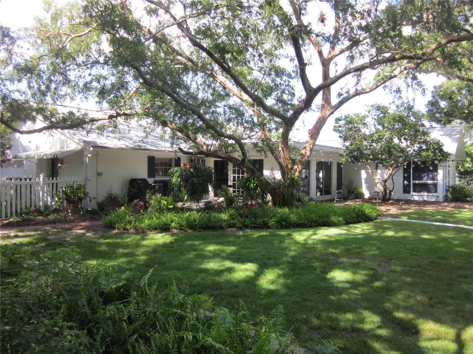 Shady fenced back yard with plenty of safe play area for children & pets