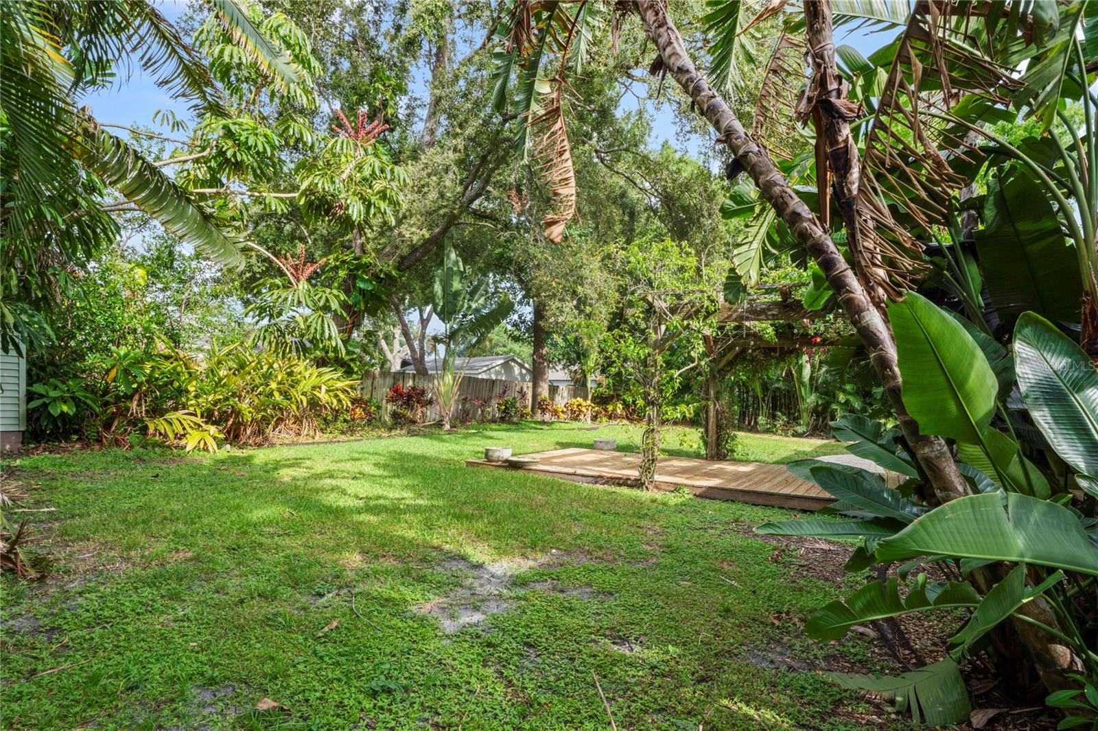 Backyard