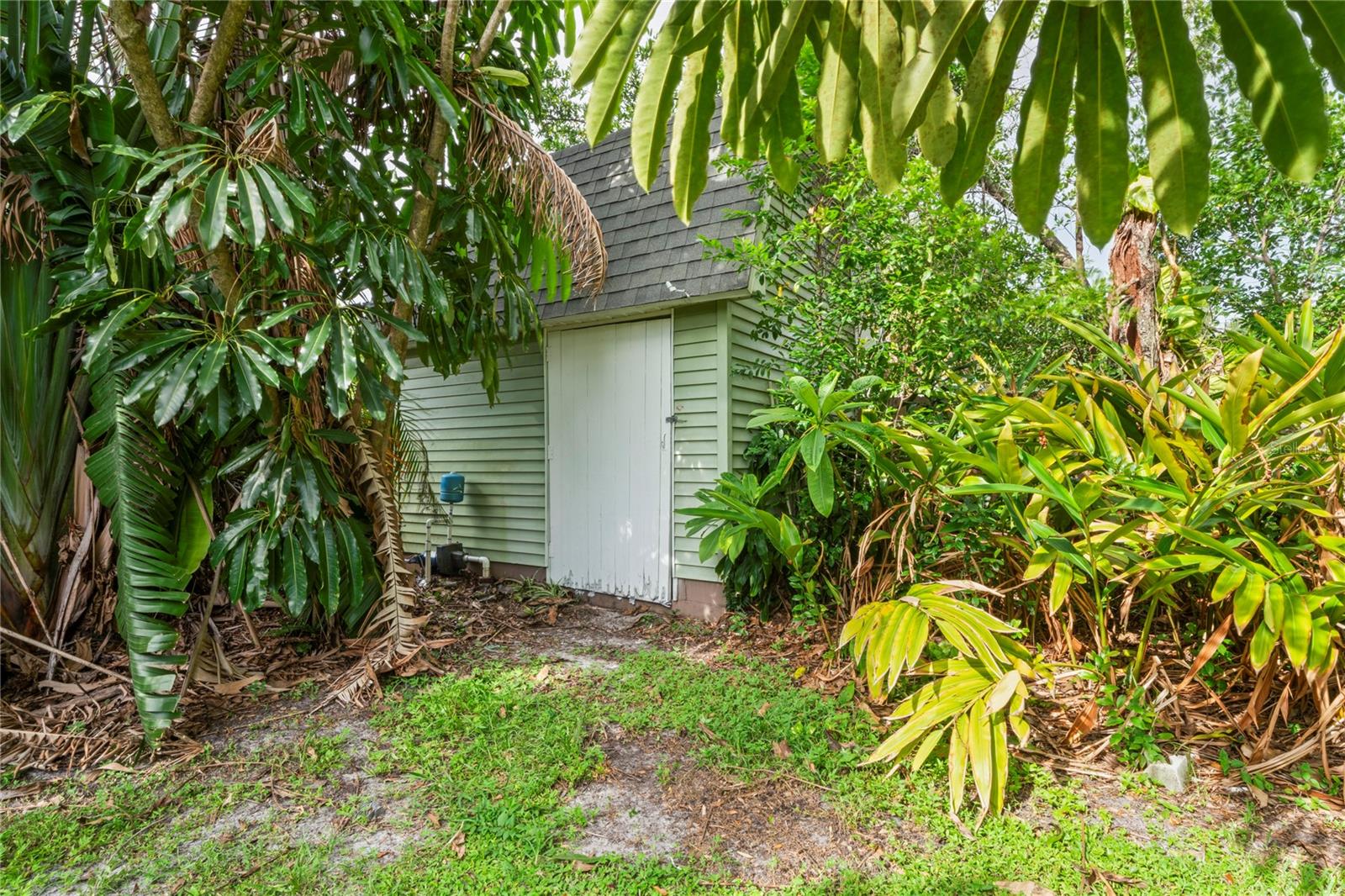 Spacious Shed