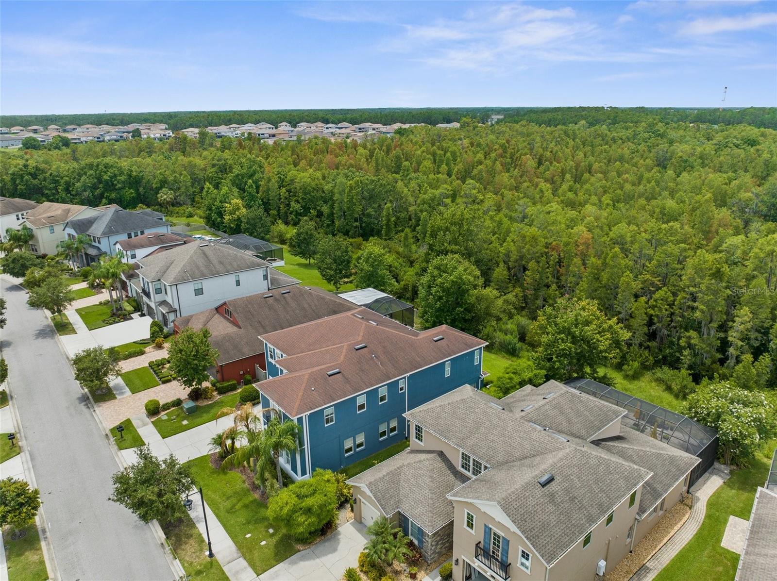 Drone shot looking to conservation back yard.