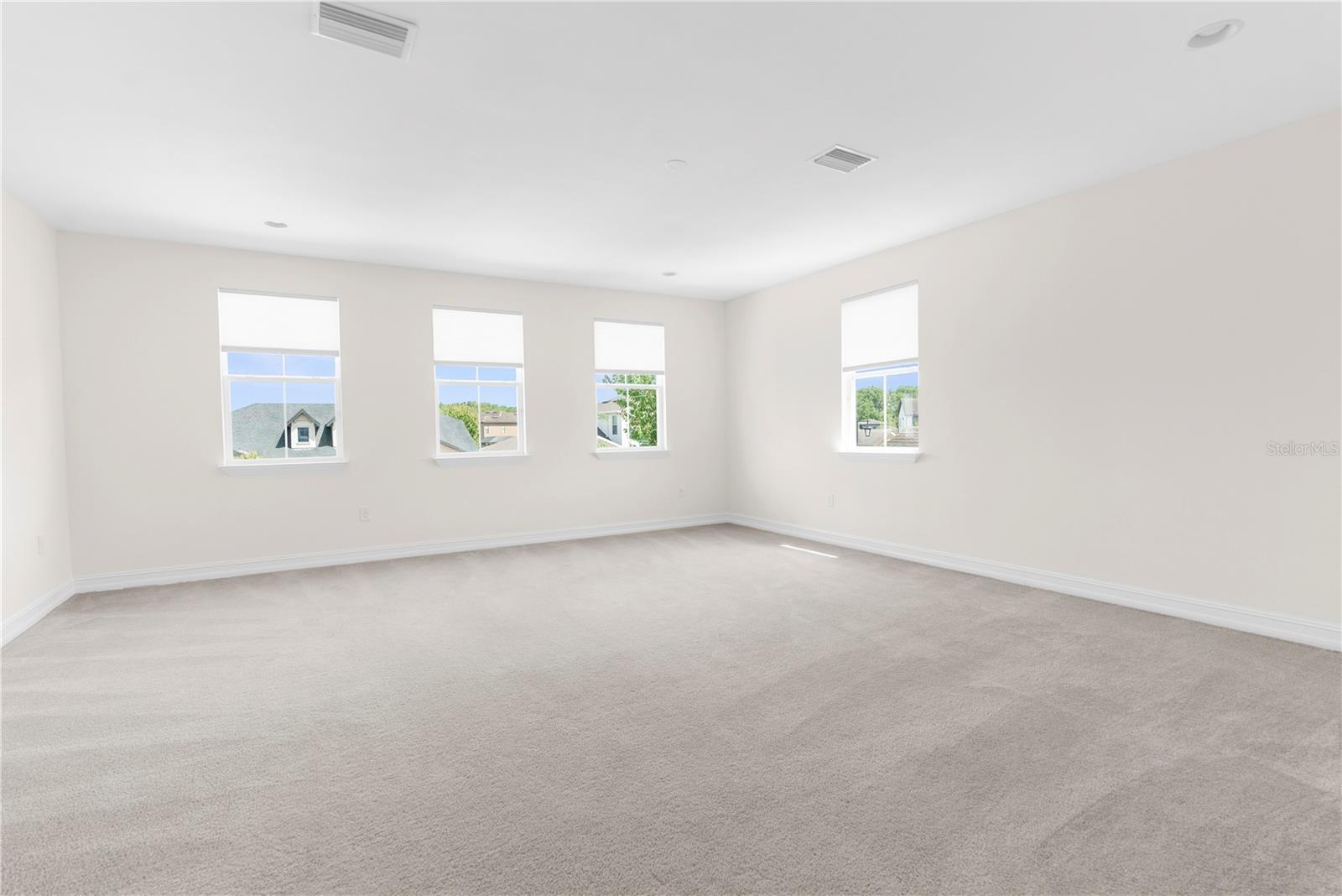 Bonus room/loft