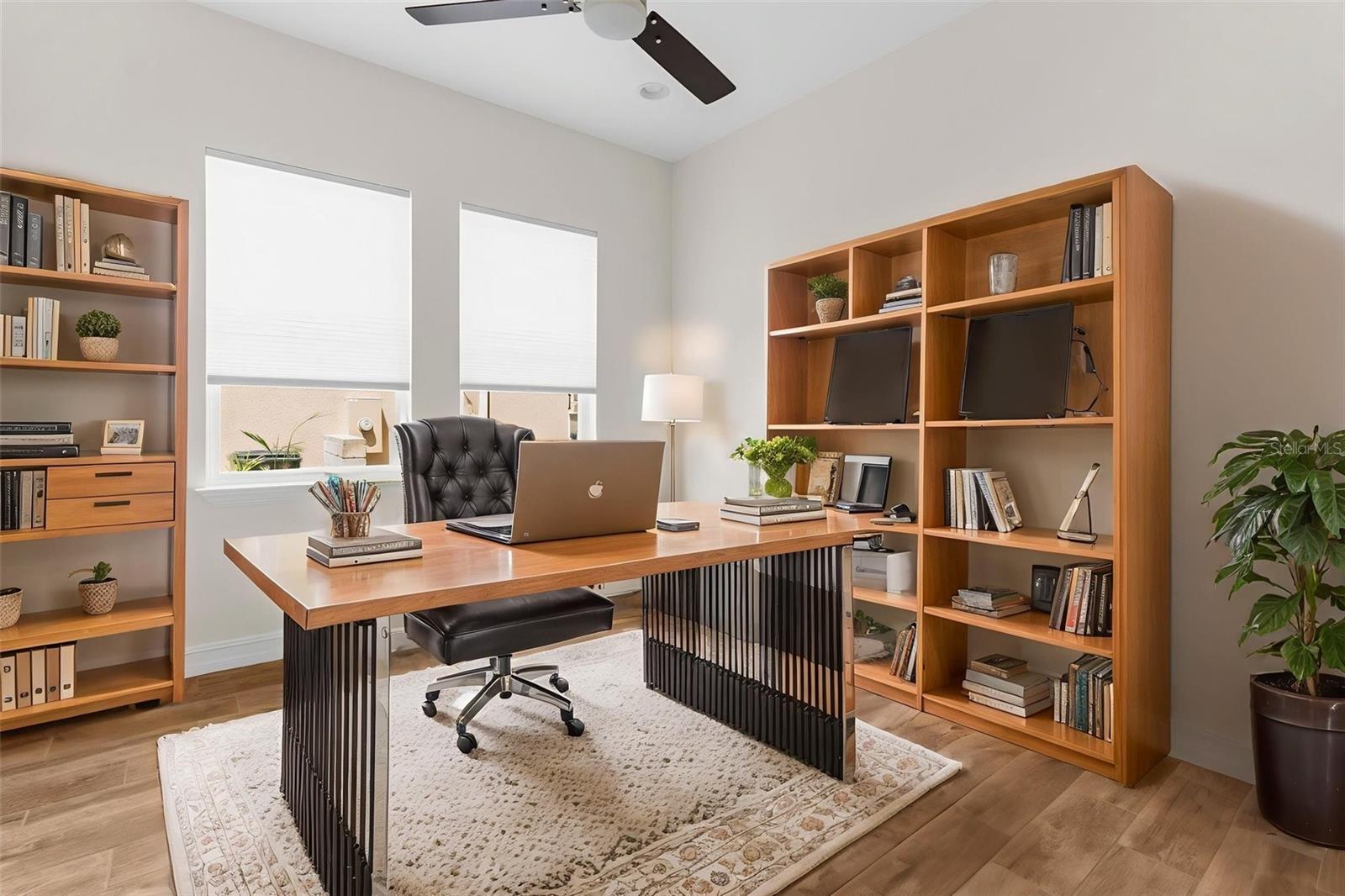 Downstairs den/office