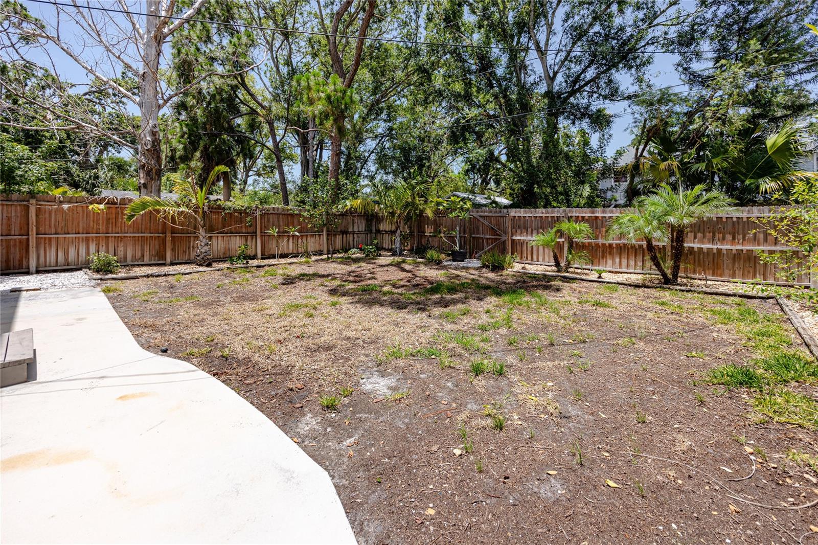 Back yard - plenty of room for a pool